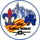 logo xarxes 1 removebg preview